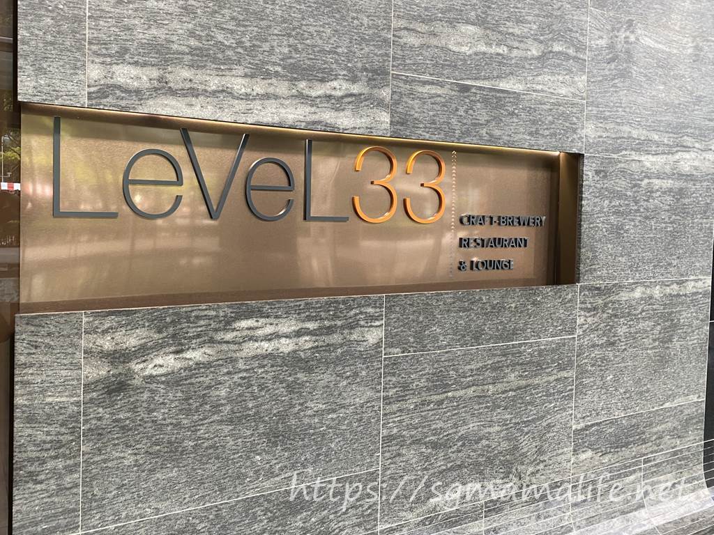 LeVeL33 レベル33