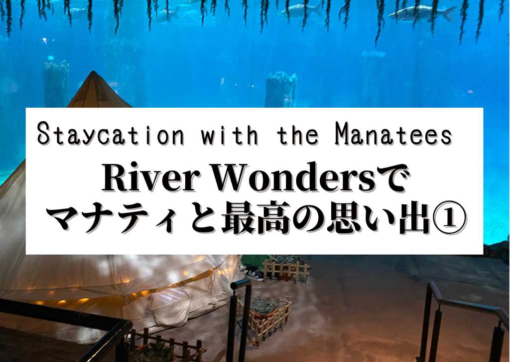 River Wondersで最高の思い出！Staycation with the Manatees①