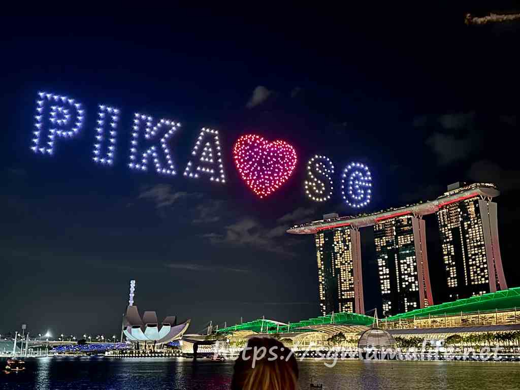 Pikachu Weekend in Singapore ピカチュウダンスショーポケモンドローンショー