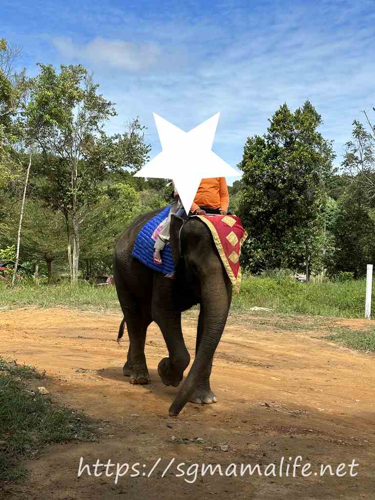 サファリラゴイ動物園（Safari Lagoi Bintan）象に乗る